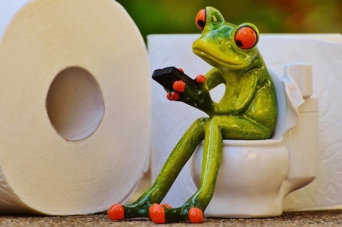 frog-1037251_640.jpg