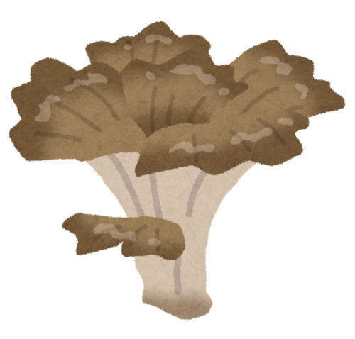kinoko_maitake.png